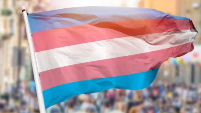 transgender flag